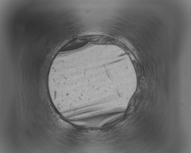 X0000075330385200610061634