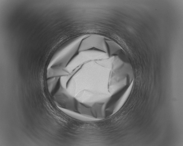 X0000075330386200610061634