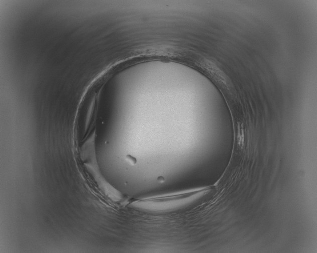 X0000075330388200610061634