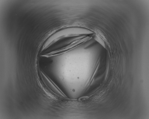 X0000075330389200610061634