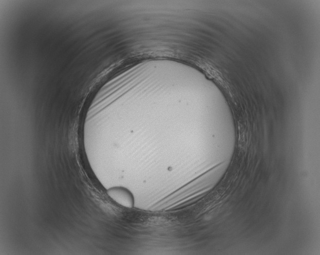 X0000075330390200610061634