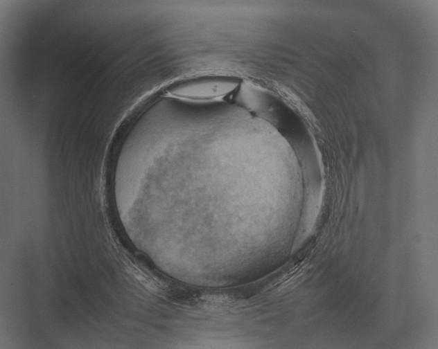 X0000075330391200610061634