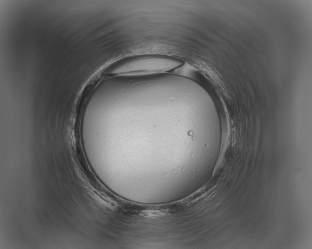 X0000075330392200610061634