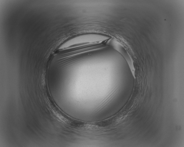 X0000075330393200610061634