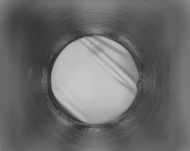 X0000075330394200610061633