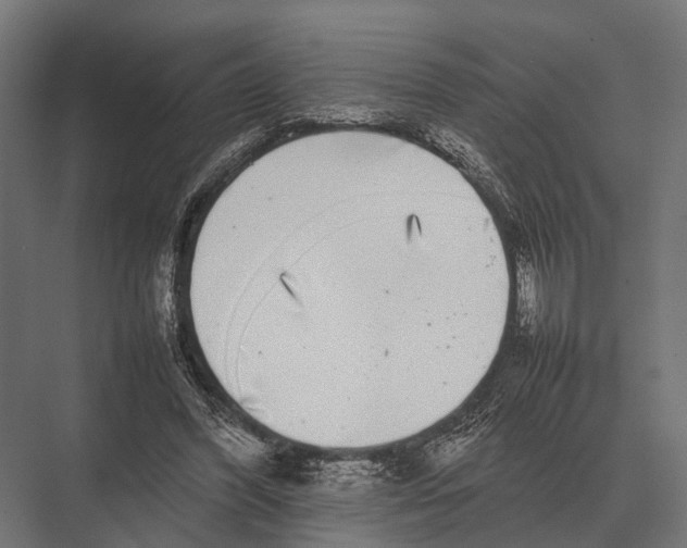 X0000075330396200610061633