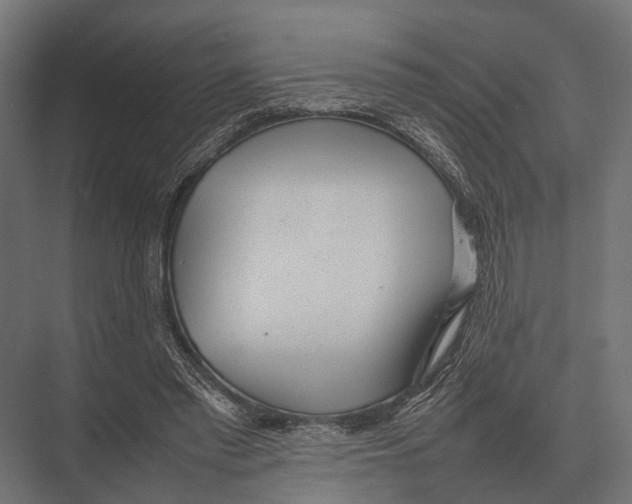 X0000075330397200610061633