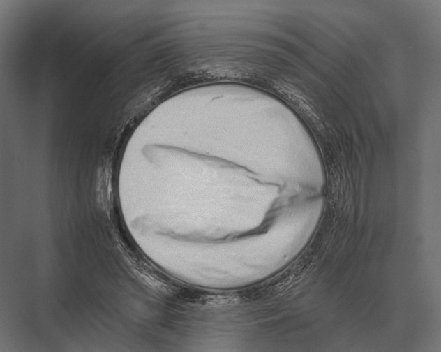 X0000075330398200610061633