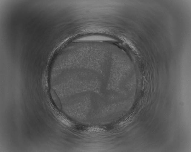 X0000075330399200610061633