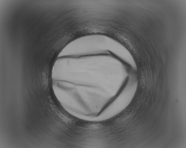 X0000075330402200610061633