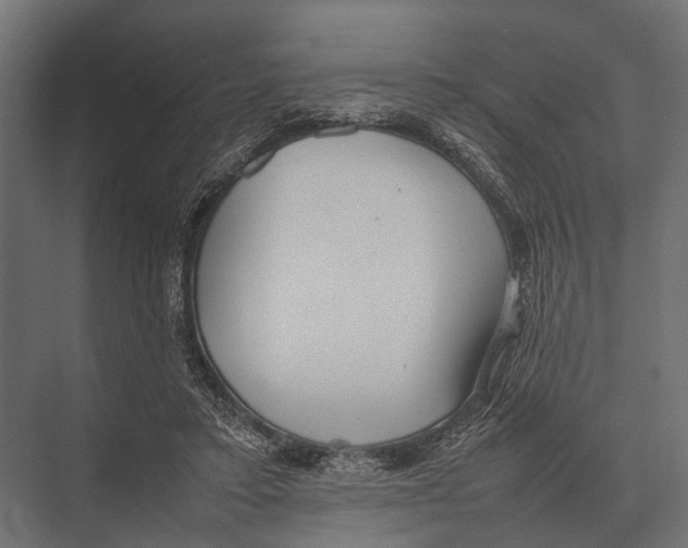 X0000075330403200610061633