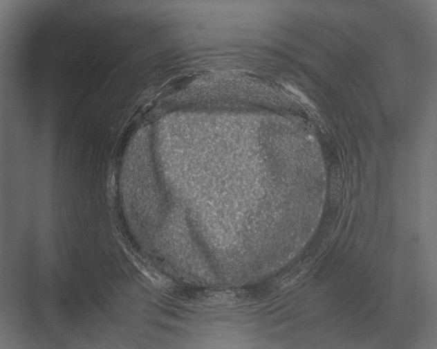 X0000075330405200610061633