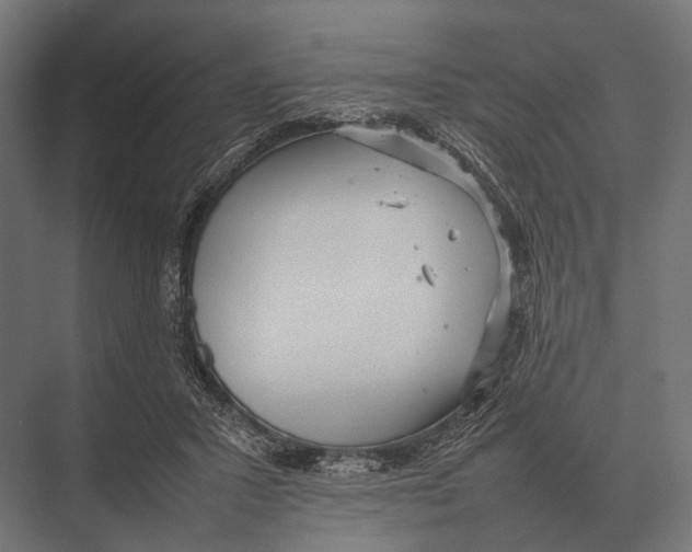 X0000075330407200610061633