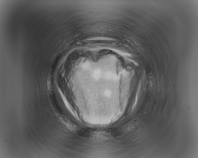 X0000075330408200610061633