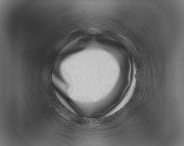 X0000075330409200610061633