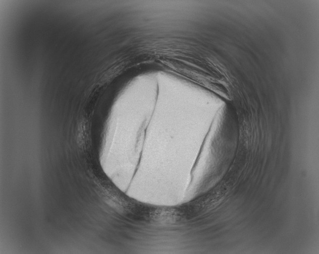 X0000075330410200610061633