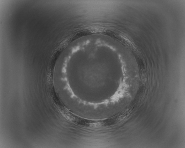 X0000075330411200610061633