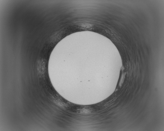 X0000075330412200610061633