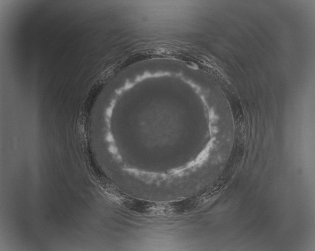 X0000075330415200610061633