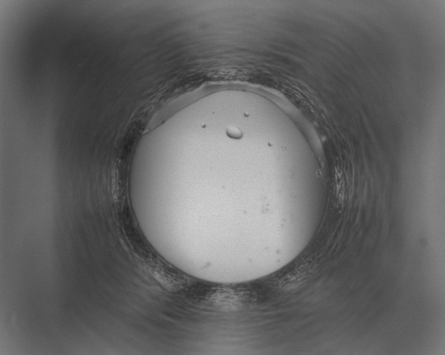 X0000075330416200610061633