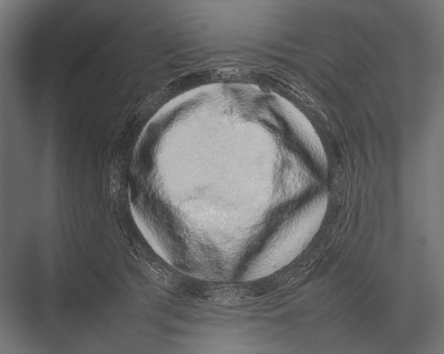 X0000075330417200610061633