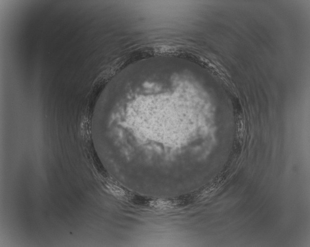 X0000075330419200610061633