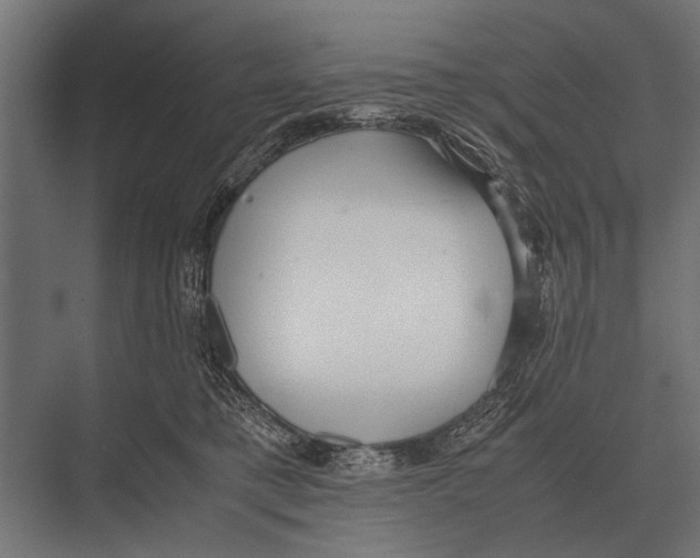 X0000075330421200610061633