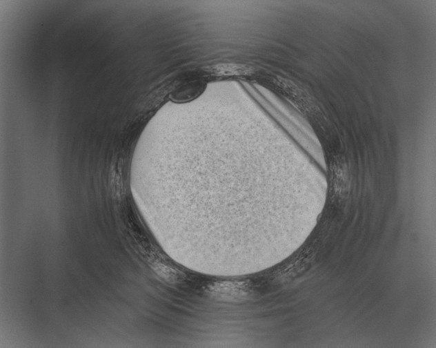 X0000075330422200610061633