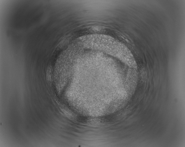 X0000075330423200610061633