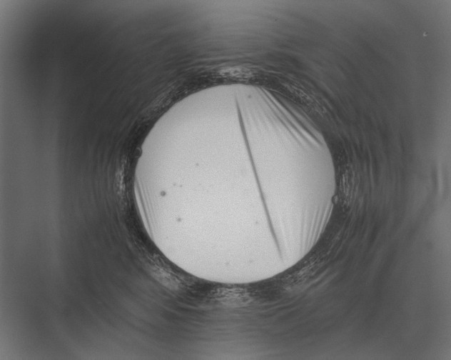 X0000075330424200610061633