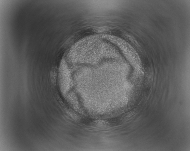 X0000075330427200610061633