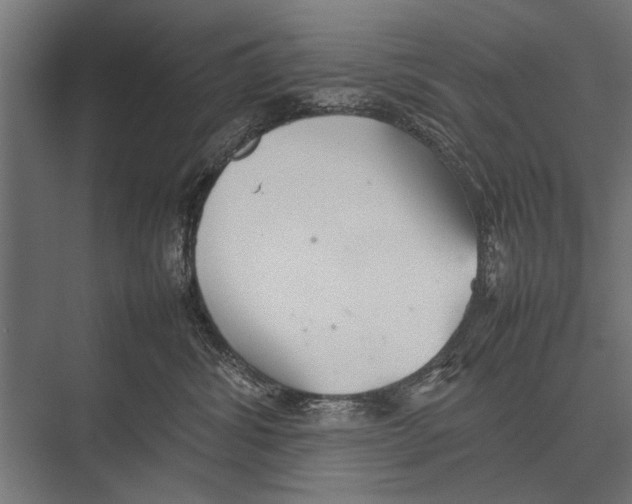 X0000075330428200610061633