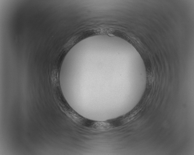 X0000075330429200610061633