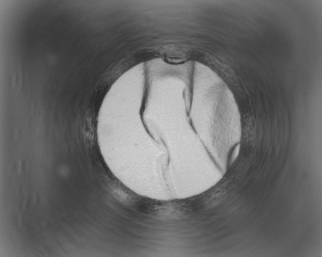 X0000075330430200610061633