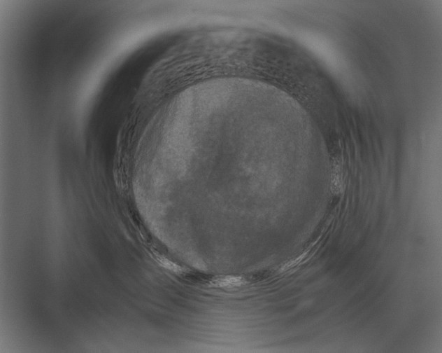 X0000075330431200610061633