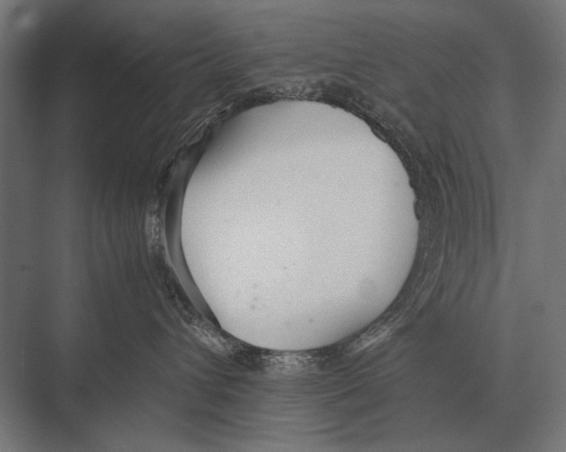 X0000075330432200610061633