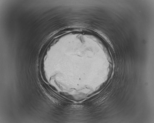 X0000075330437200610061632