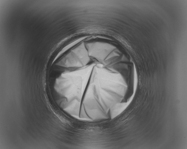 X0000075330438200610061632