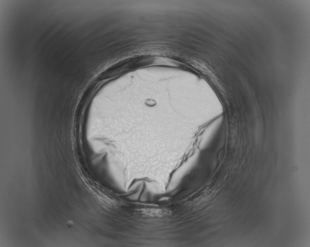 X0000075330439200610061632