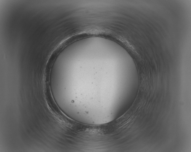 X0000075330440200610061632