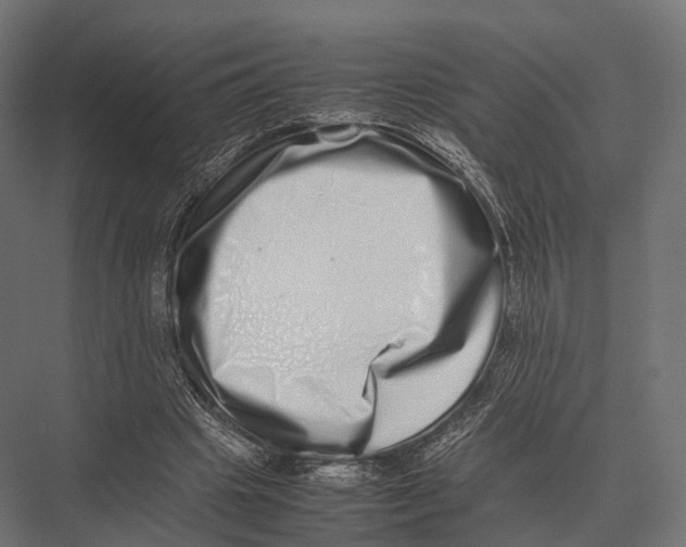 X0000075330441200610061632