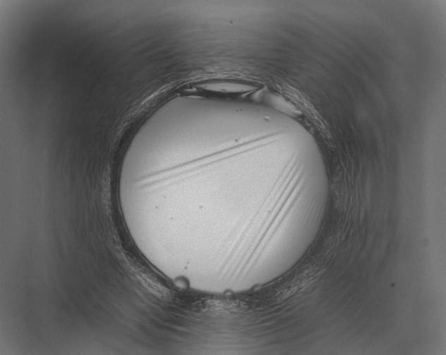 X0000075330442200610061632