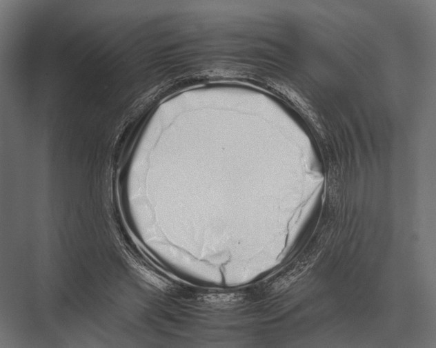 X0000075330445200610061632