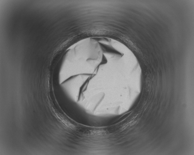 X0000075330446200610061632