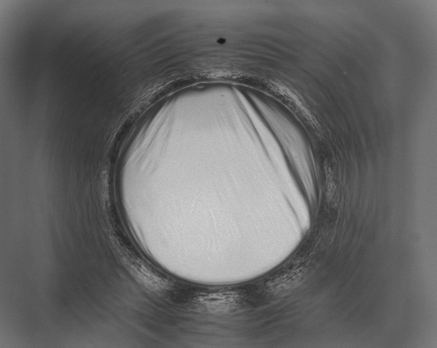 X0000075330447200610061632