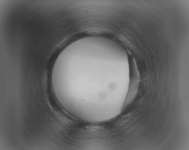 X0000075330448200610061632