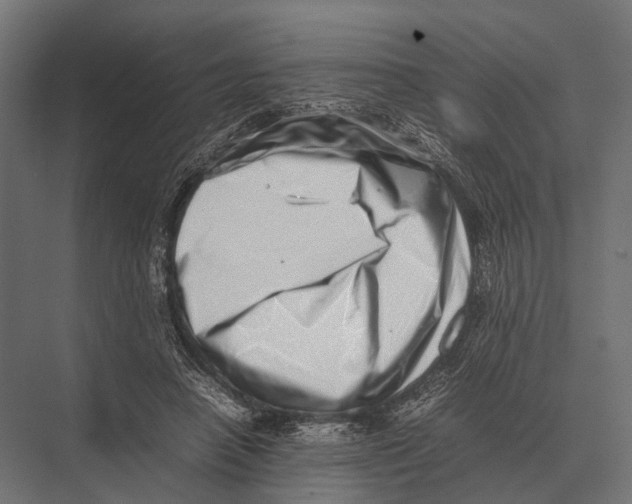 X0000075330450200610061632