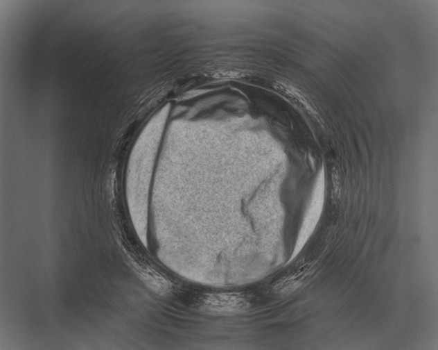 X0000075330451200610061632