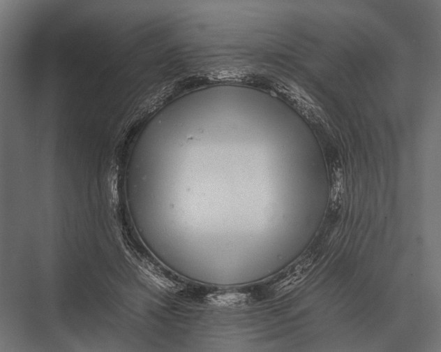 X0000075330452200610061632