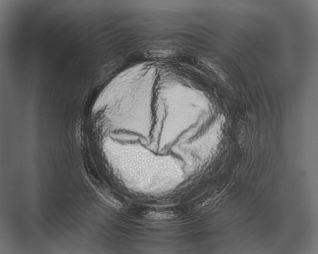 X0000075330455200610061632